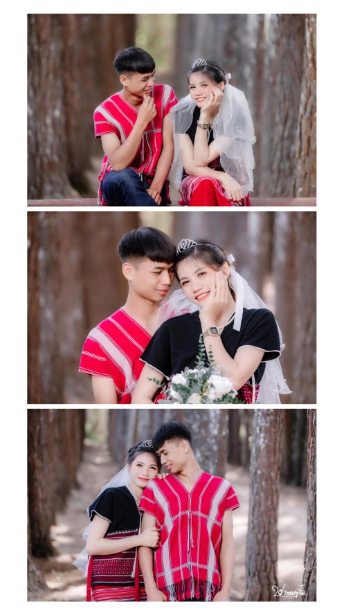 ผลงานปากาญอสตูดิโอ